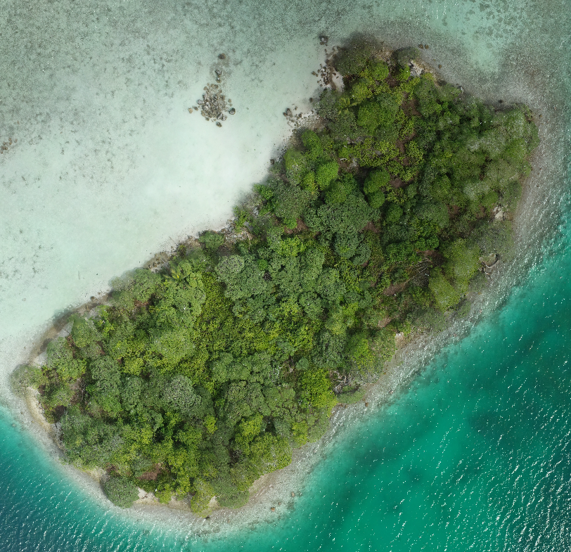 orthoimagery for Dudley Island U.S. Geological Survey